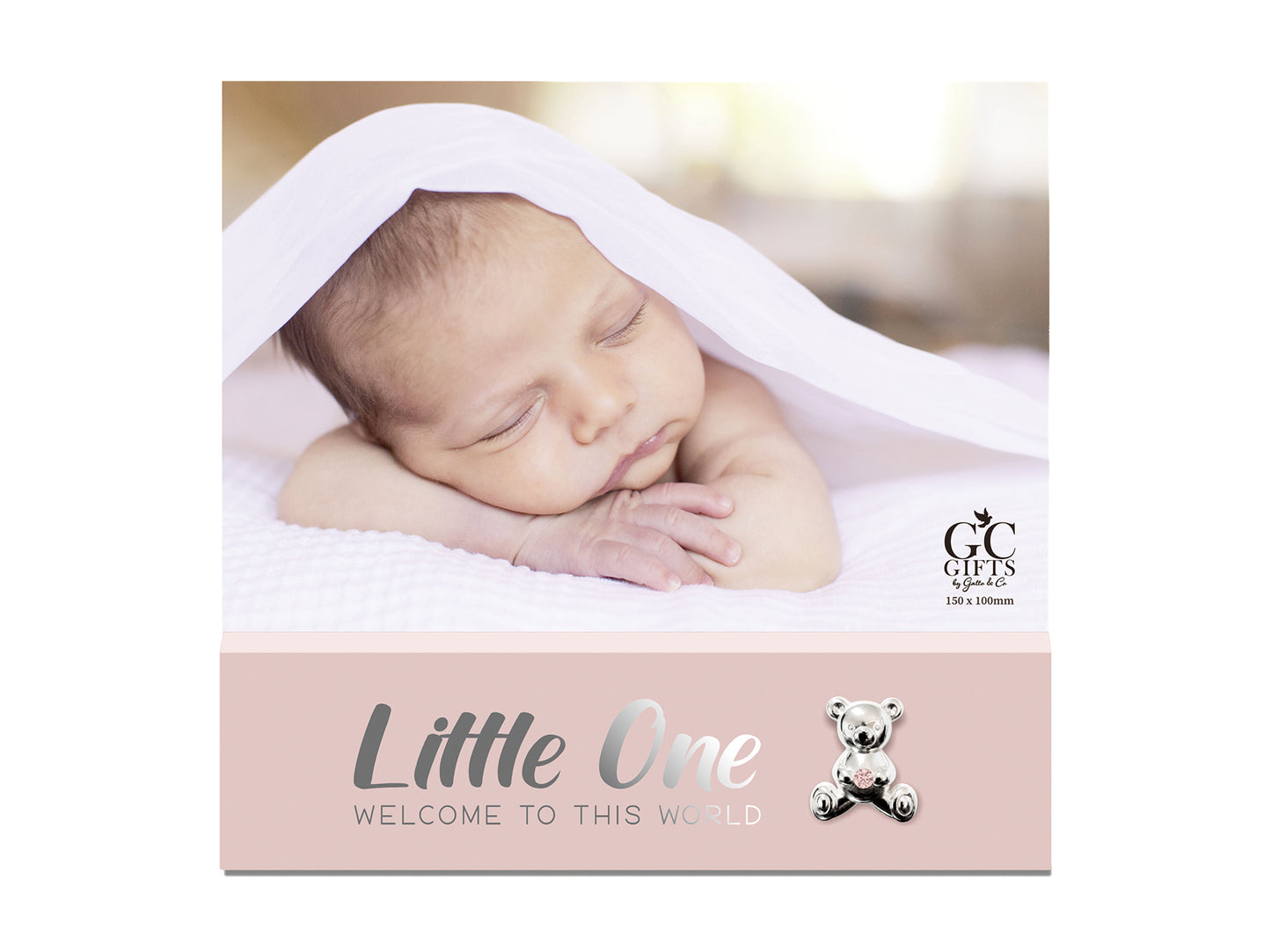 Baby Girl Photo Frame – Little One 4" x 6"